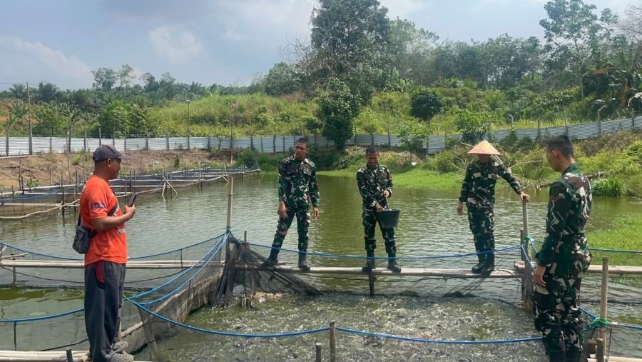 Kompi Markas Yonif TP 850/SC mengunjungi peternakan ikan lele di Desa Pandan Wangi