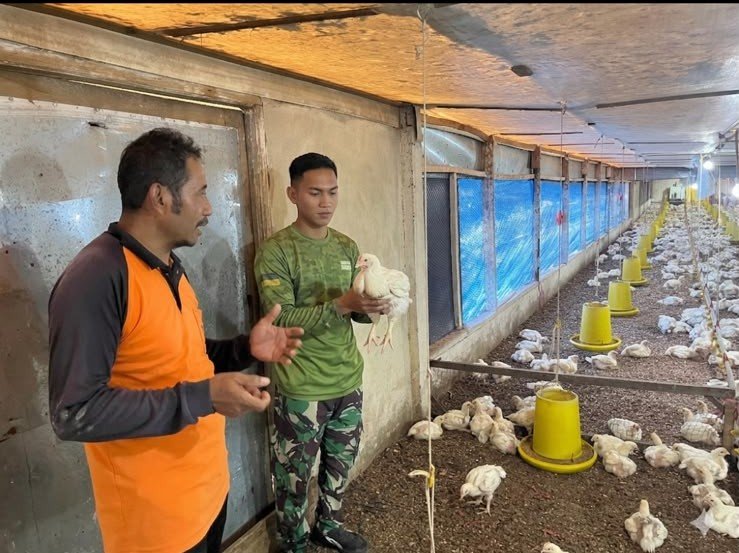 Kompi Markas Yonif TP 850/SC Perkuat Ketahanan Pangan Lewat Peternakan Ayam