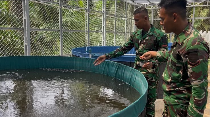 Kompi Senapan A Yonif TP 850/SC Tinjau Budidaya Lele Milik Pemerintah Desa Semelinang Darat