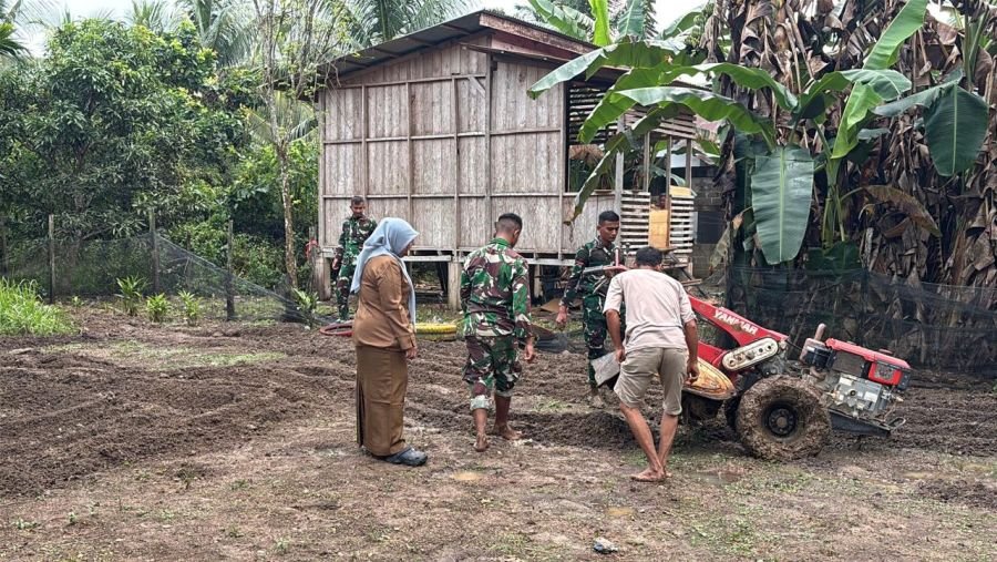 Kompi Senapan B Yonif TP 850/SC Menggelar Aksi Gotong Royong Bersama KWT di Desa BatuRijal
