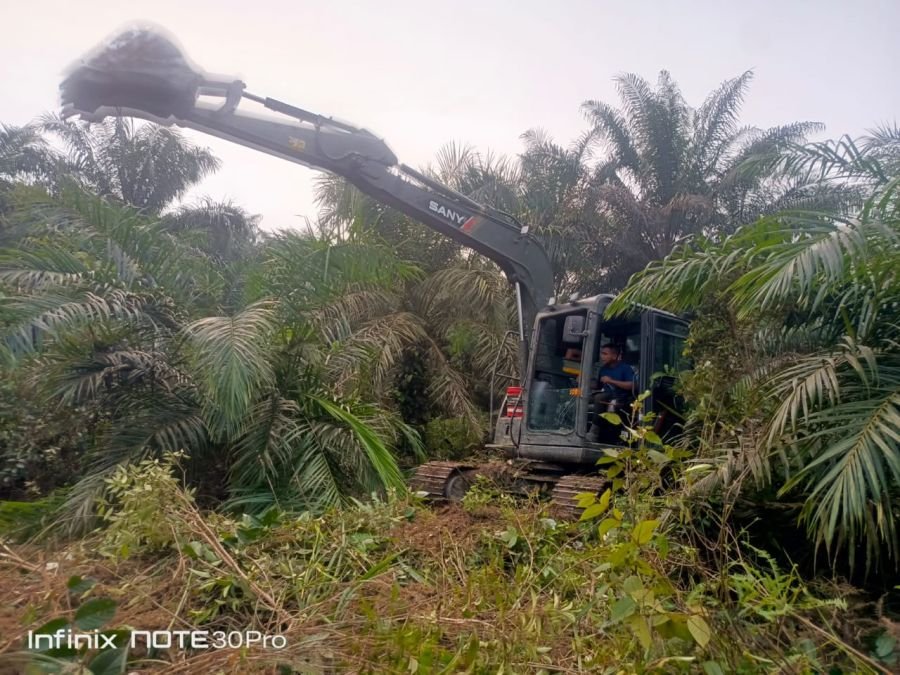 Kompi Zeni Yonif TP 850/SC Bantu Warga Desa Sereh Wangi Buka Lahan Sawit