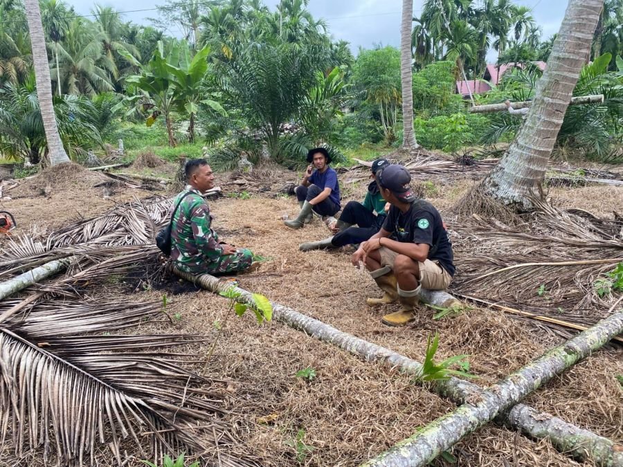 Komsos Babinsa 03/Tpl dan Kepala Desa Bahas Produktivitas Kelapa Warga
