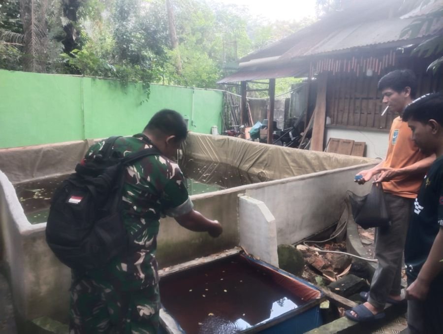 Komsos Babinsa Bersama Peternak Ikan Nila, Bangkitkan Semangat Usaha Masyarakat