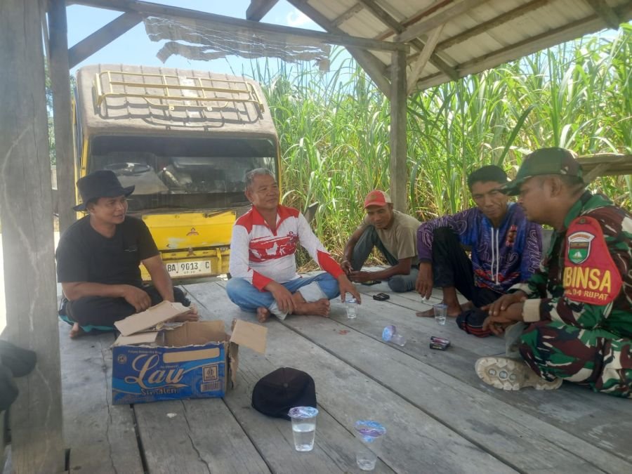 Komsos Pertanian Babinsa Pancur Jaya Soroti Ketahanan Pangan Warga