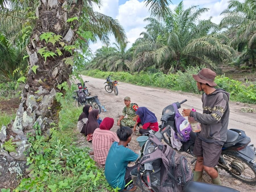 Komunikasi Sosial Dengan Petani Sawit, Babinsa Ingatkan Tentang Keselamatan Kerja