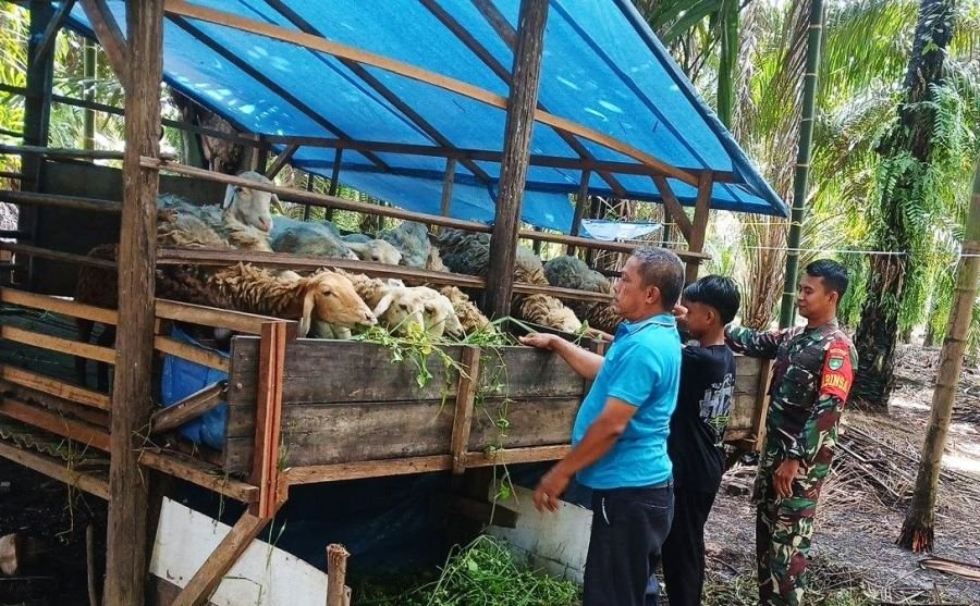 Kopda Cahyanto Putro: Himbauan Ini sebagai upaya Mencegah Wabah PMK