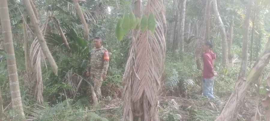 Koptu Dedi Swarman Patroli Karhutla di desa binaan