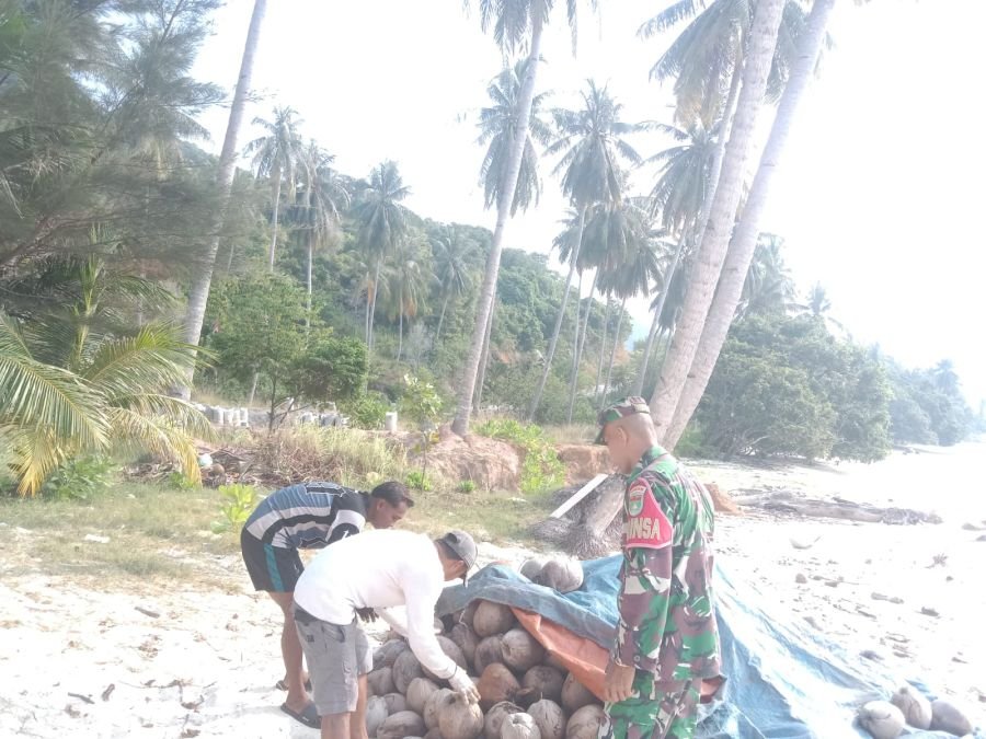 Koptu Fian Hendratmo Dorong Petani Kelapa Rawat Kebun untuk Perkuat Ketahanan Pangan