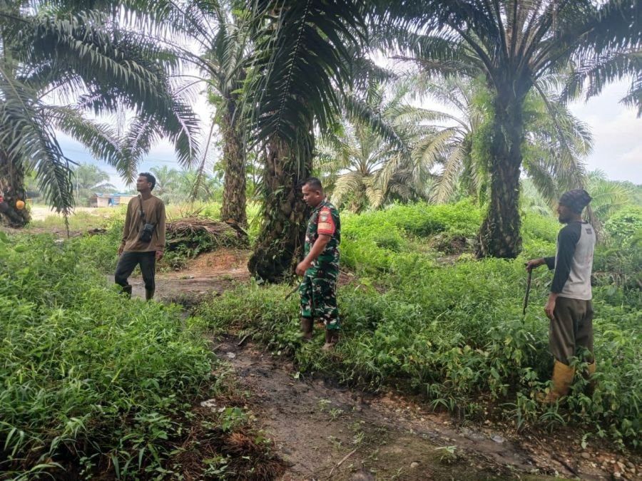Koptu Irwan Patroli Karhutla di Kawasan PT GSL, Ajak Warga Cegah Kebakaran Hutan dan Lahan