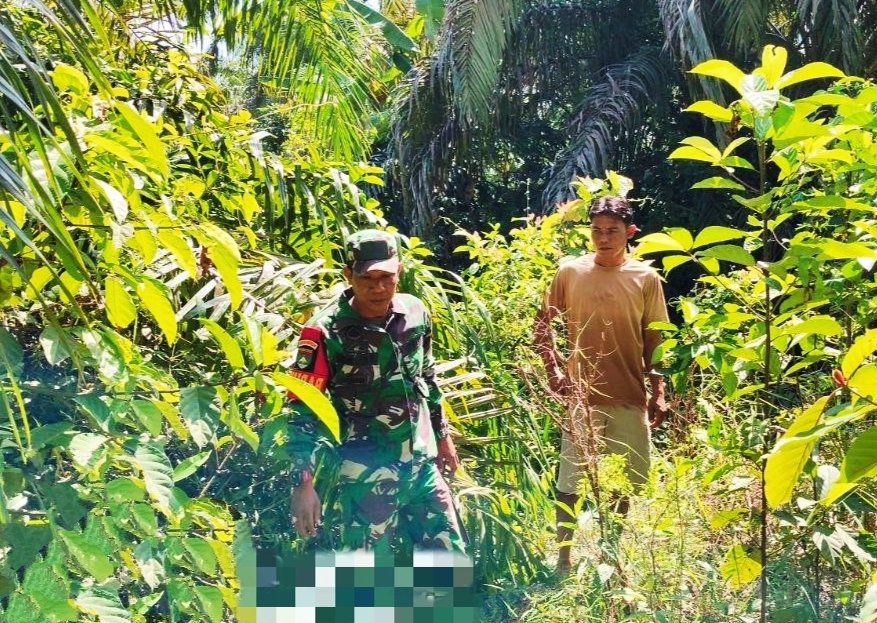 Koptu Jantri Istani Melakukan Langkah Pencegahan Karhutla di Kabupaten Rokan Hulu