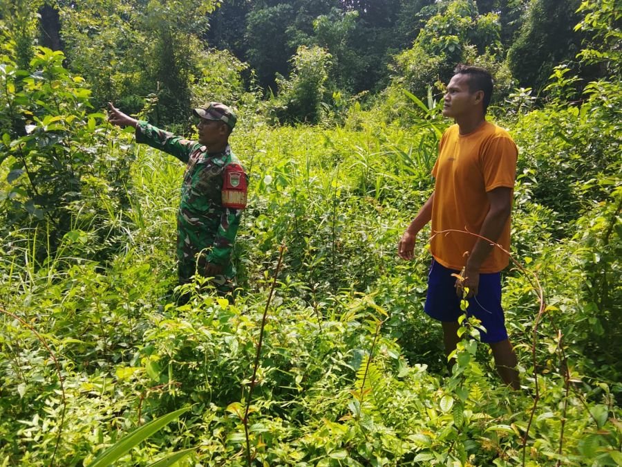 Koptu Jumirin Ajak Warga Cegah Karhutla Sejak Dini
