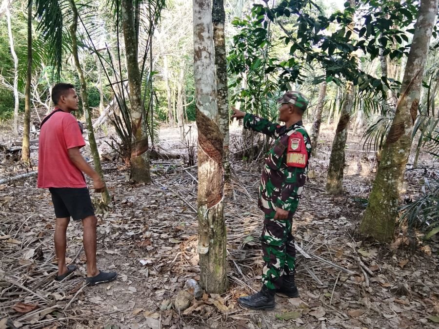 Koptu Jumirin Cek Potensi Karhutla di Dungun Baru