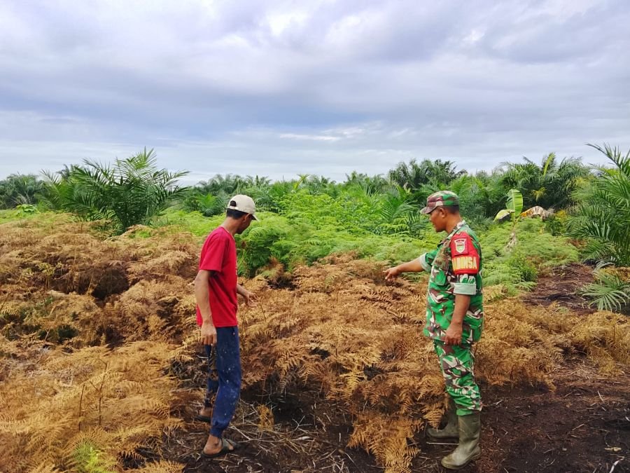 Koptu Jumirin Sisir Titik Rawan Karhutla di Dungun Baru