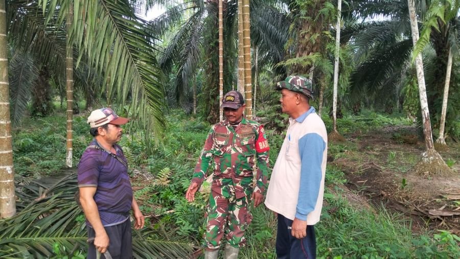 Koptu Setiawan Harianto Patroli Tapal Batas, Tegaskan Desa Sencalang Nihil Karhutla