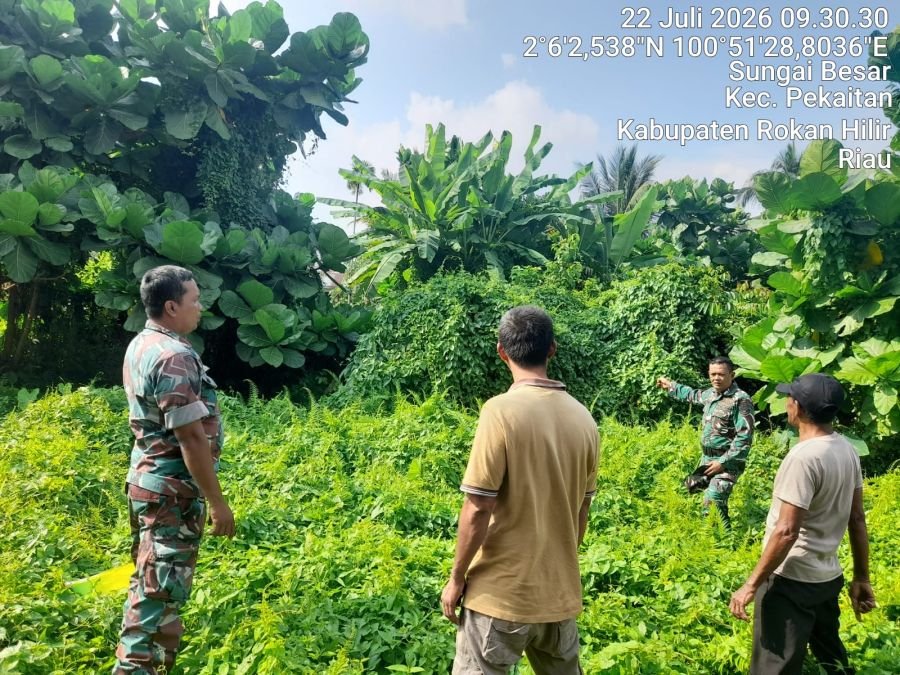 KORAMIL 01/BANGKO INTENSIFKAN PATROLI KARHUTLA DI PEKAITAN, PASTIKAN WILAYAH AMAN DARI TITIK API