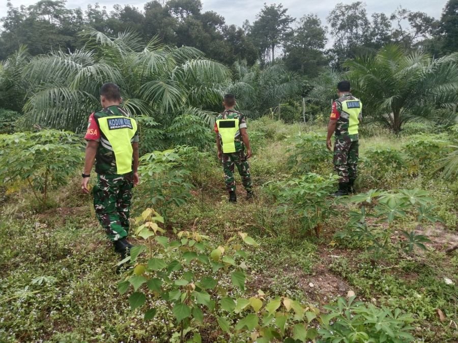 Koramil 02/KT Bergerak Cepat Antisipasi Karhutla di Kuantan Tengah
