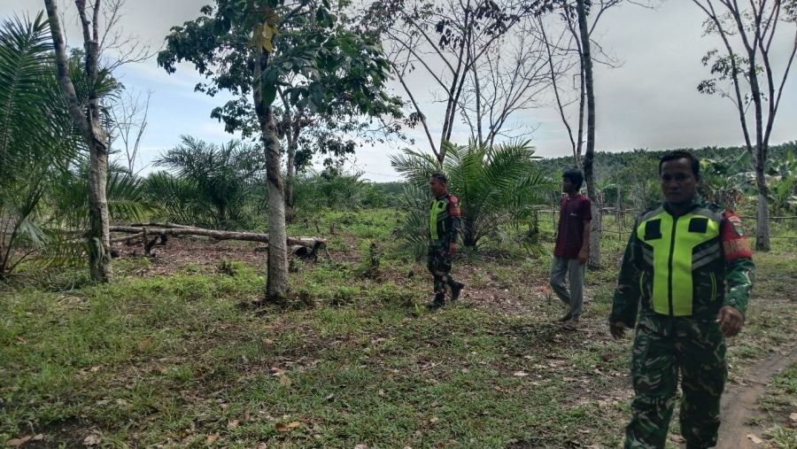 Koramil 02/KT Tingkatkan Kewaspadaan Karhutla di Kuansing