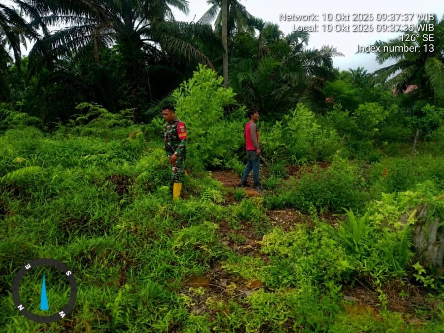 Koramil 02/Sungai Apit Patroli Karhutla di Teluk Mesjid, Tak Temukan Titik Api
