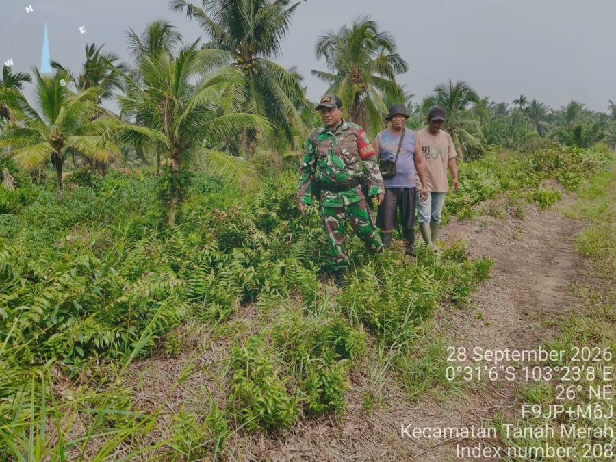 Koramil 02/TM Patroli Tapal Batas di Tanah Merah