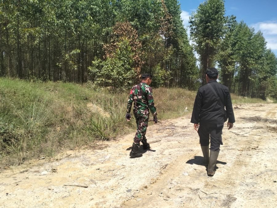 Babinsa Minas Patroli Karhutla di Kampung Olak, Titik Api Nihil