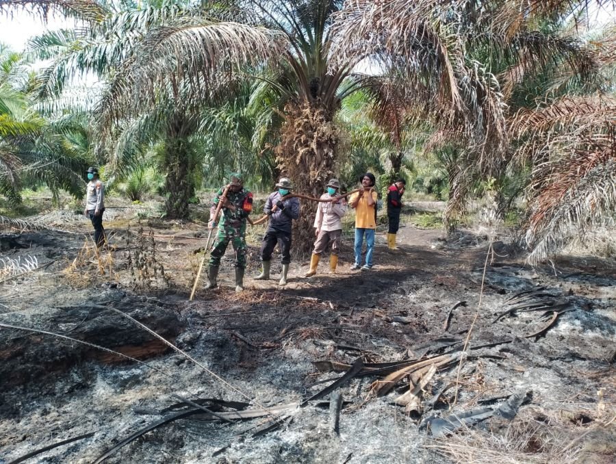 Koramil 04 Kubu Padamkan Karhutla, 1,7 Hektare Terselamatkan Lanjutkan Pendinginan.