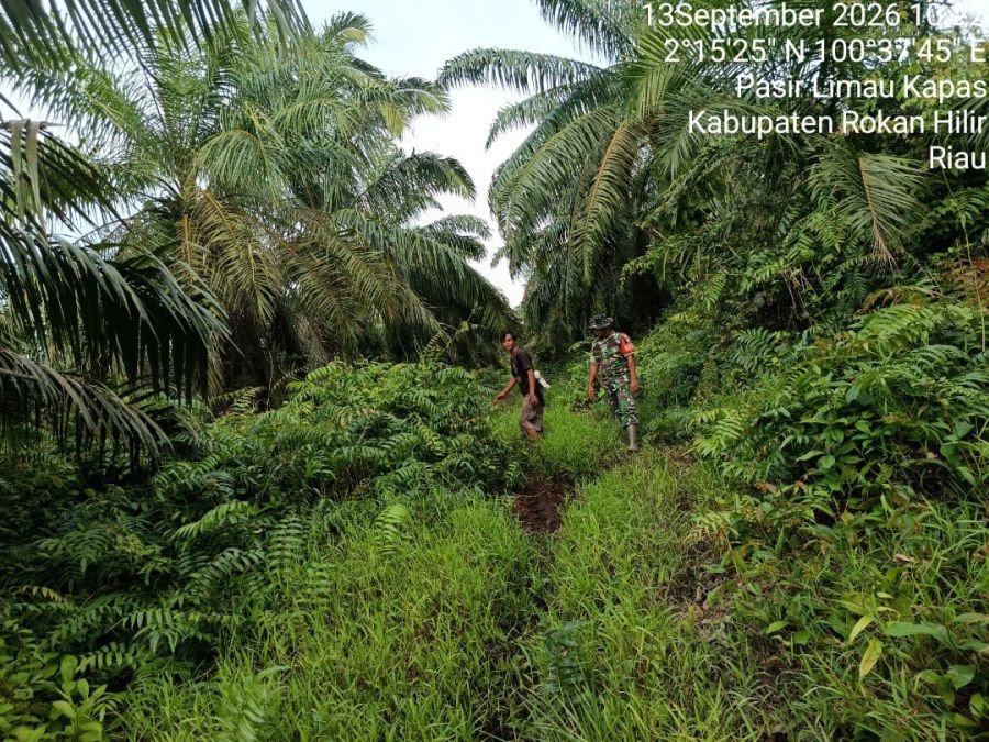 Koramil 04 Kubu Sisir Wilayah Rawan Karhutla, di Pasir Limau Kapas