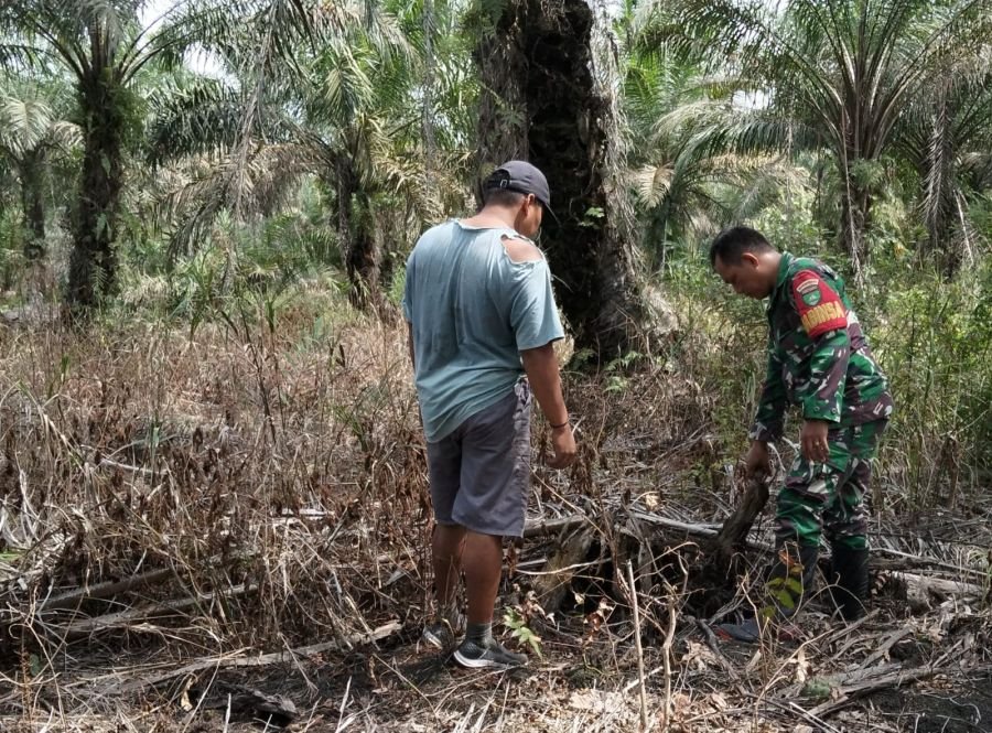 Koramil 04/Kubu Bergerak Cepat Cegah Karhutla di Kubu Babusalam