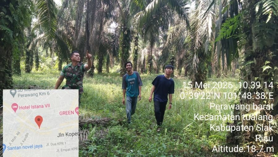 Babinsa Koramil 04/Perawang, Kopka  Togi Sitorus Tingkatkan Patroli Karhutla di Tualang Timur