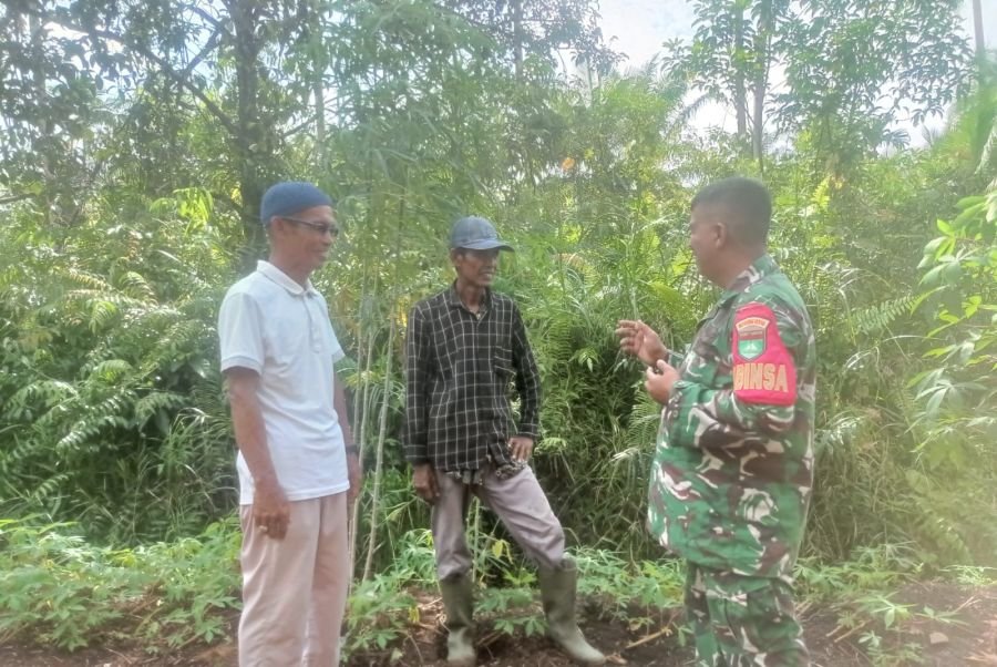 Koramil 06/Kateman
Pada hari Sabtu 29 Agustus 2026 pukul 09:25 Wib Babinsa Koramil 06/KTM Kopda Ferr