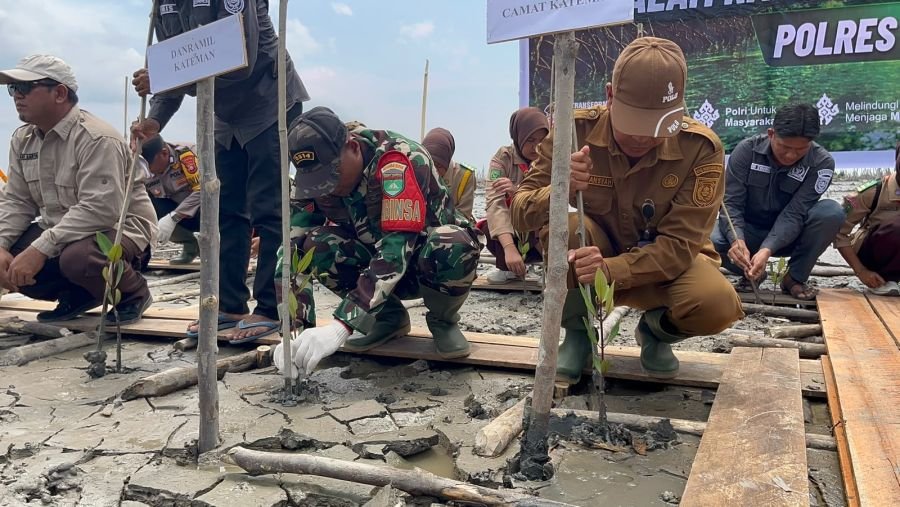Koramil 06/KTM Hadiri Penanaman Mangrove Peringati Hari Mangrove Sedunia di Desa Kuala Selat