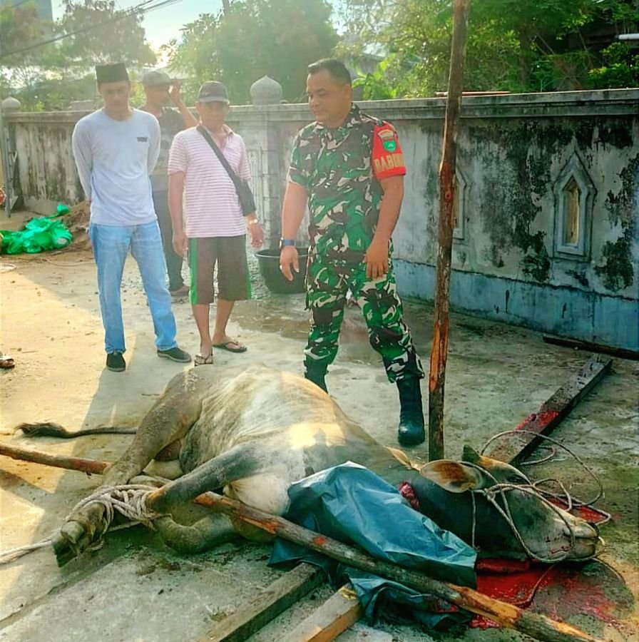 Koramil 06/KTM melaksanakan kegiatan pengamanan pemotongan kurban di mesjid besar alfalah kecamatan