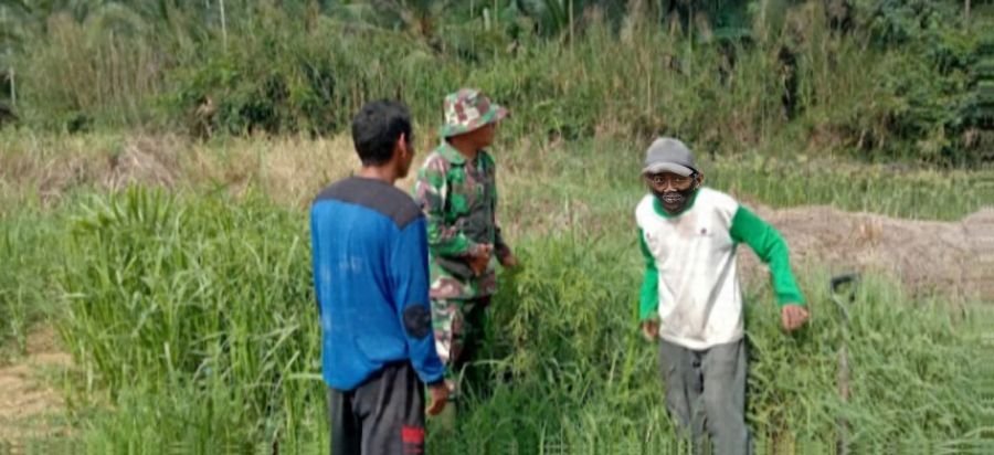 Koramil 07/Reteh: Babinsa Perkuat Pengawasan Tapal Batas dan Sosialisasi Karhutla