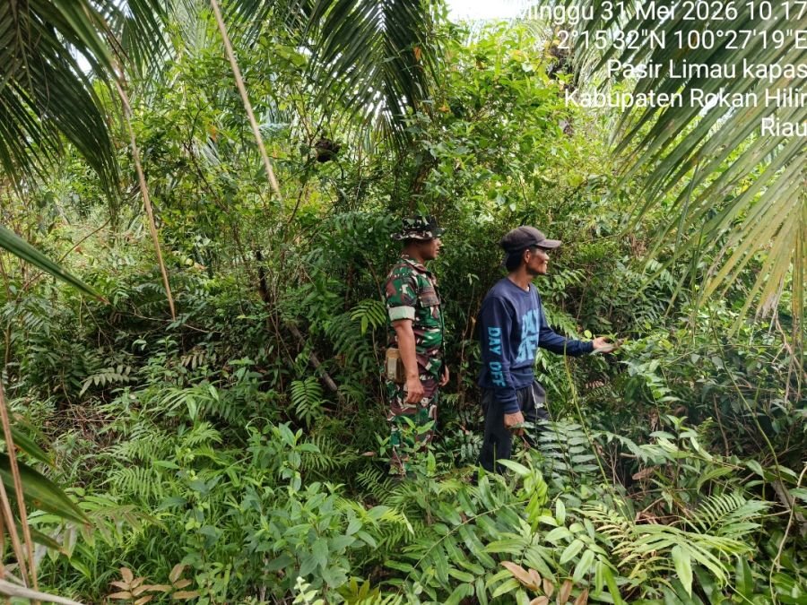 Koramil Kubu Perketat Pengawasan, Titik Rawan Karhutla Aman
