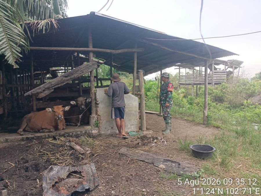 Koramil Sungai Apit Dampingi Penyemprotan PMK di Dusun Pusaka