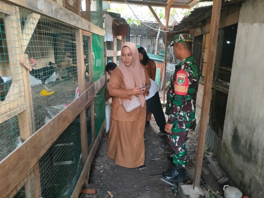 Kunjungi Peternak Ayam KUB, Babinsa Motivasi Warga Tingkatkan Ekonomi Keluarga