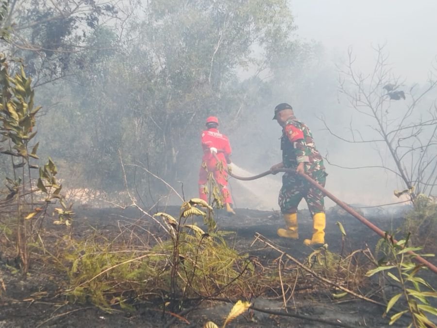 Lahan Warga Terbakar, Babinsa Koramil 04/Lph Tak Tinggal Diam! Bersama Tim Gabungan Perangi Karhutla