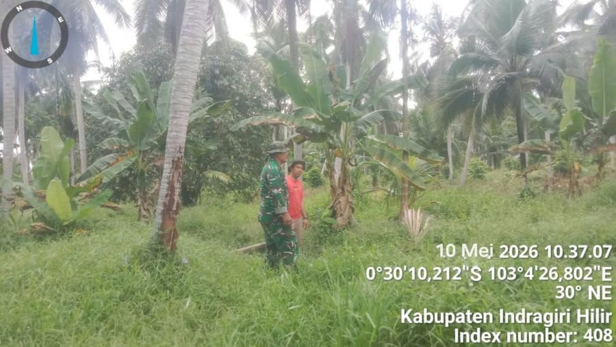Laporan Situasi Karhutla Koramil 02/TM Desa Pengalihan Nihil Titik Api dan Asap