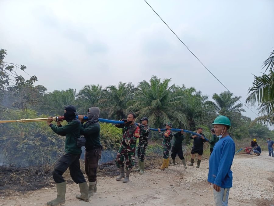 Lima Lokasi Karhutla di Bengkalis Masih Berjuang, Lebih dari 60% Lahan Telah Berhasil Dipadamkan
