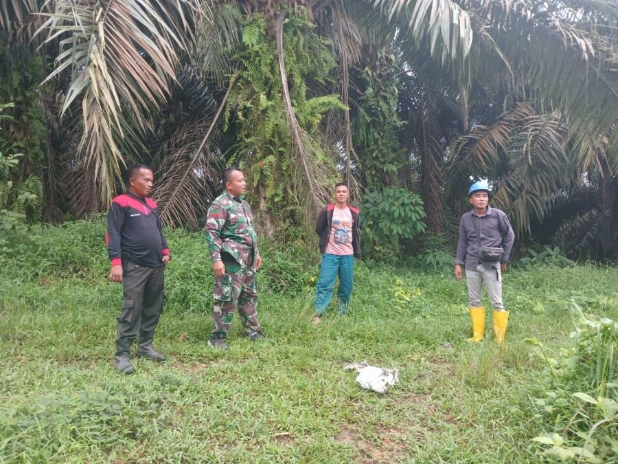 Luangkan Waktu Akhir Pekan, Babinsa Koramil 06/Cerenti Patroli Karhutla di Perkebunan Warga