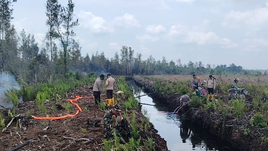 Masuk Hari Keempat Penanganan Karhutla di Tasik Tebing Serai, 9 Hektare Berhasil Dipadamkan