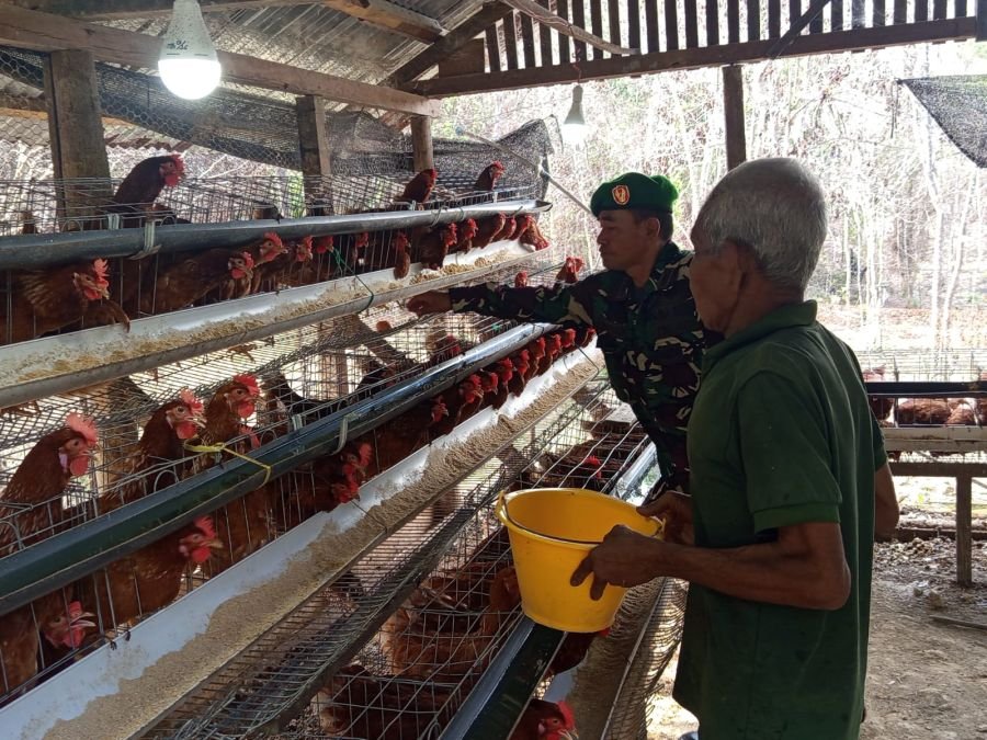 melaksanakan kegiatan panen raya di lahan Pergam (Pekarangan Gemar Makan) Ketahanan Pangan yang terl
