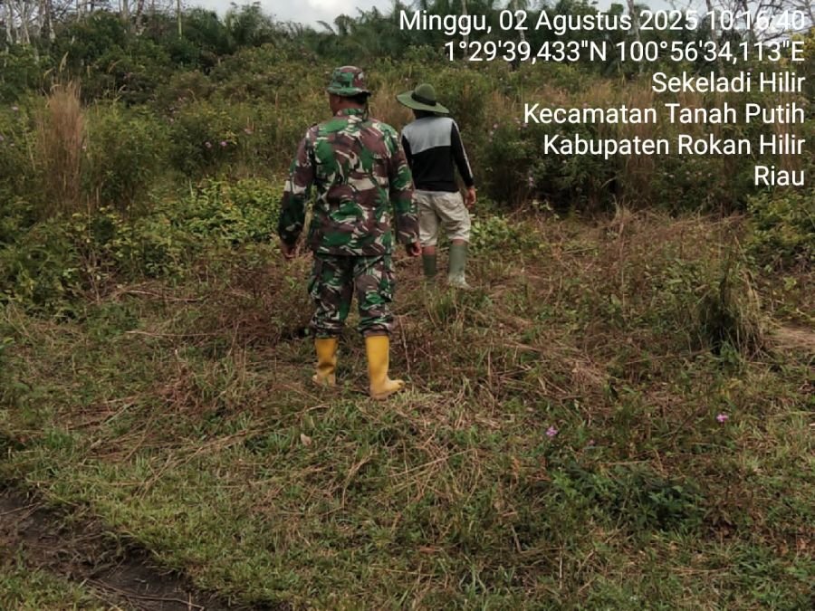 Melaksanakan Kegiatan Patroli Karhutla di Wilayah Koramil 0321-02/TP.
