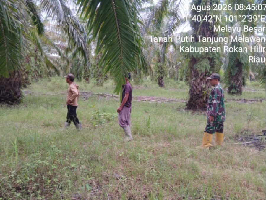 Melaksanakan kegiatan patroli Karhutla bersama Masyarakat di wilayah Koramil 02/TP.