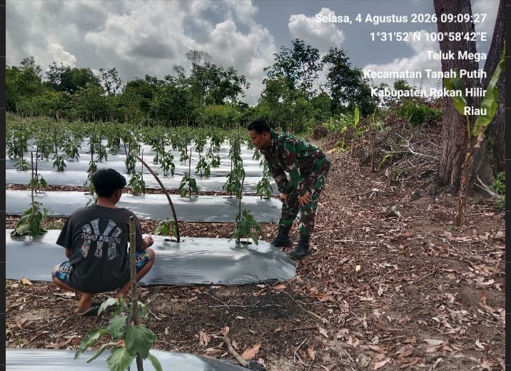 Melaksanakan Kegiatan Pendampingan Ketahanan Pangan di wilayah Koramil 02/TP