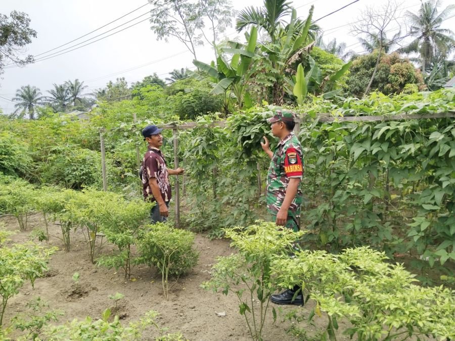 Melalui Komsos Babinsa Dukung Program Ketahanan Pangan Nasional