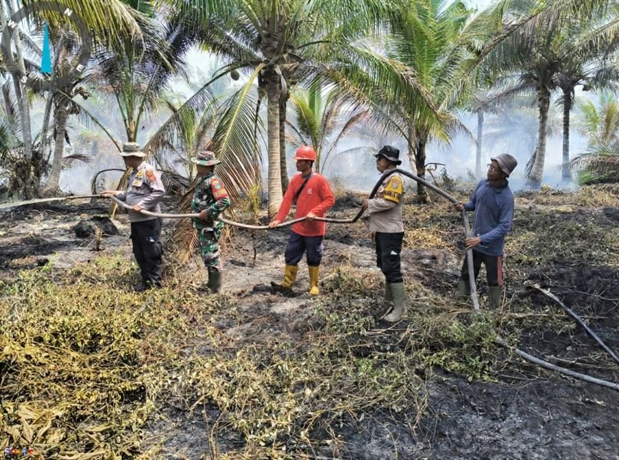 Memasuki Hari Keempat: Meskipun Api Padam,Babinsa Koramil 10/Pelangiran Terus Tingkatkan Pendinginan
