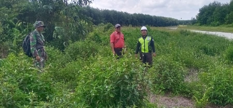 Memasuki Musim Kemarau, Babinsa Koramil 06/Merbau Intensifkan Patroli Karhutla di Desa Lukit