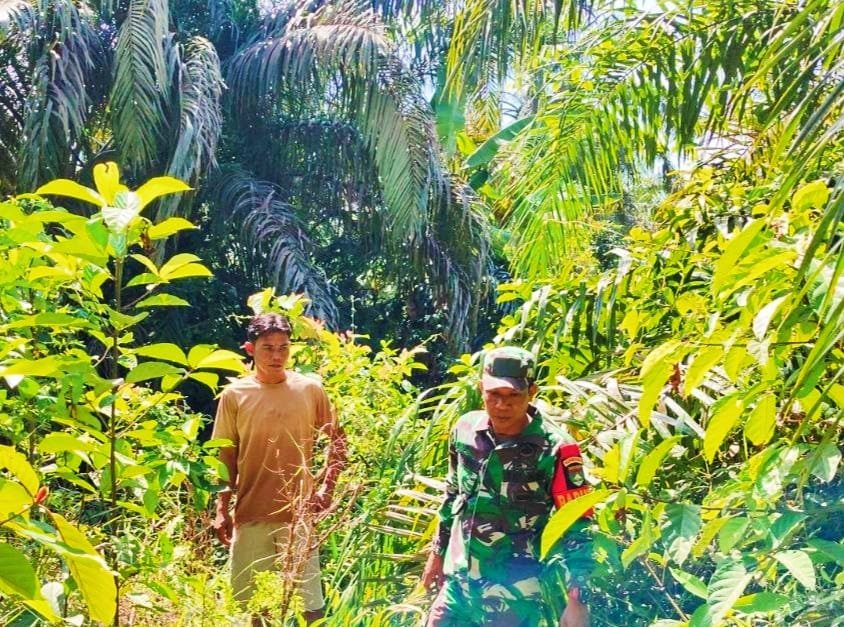 Memasuki Musim Kemarau, Koptu Jantri Istani tingkatkan Pencegahan Karhutla