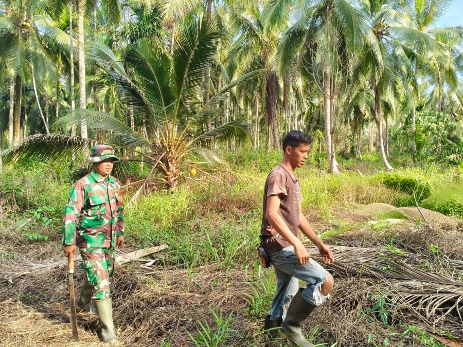 Memasuki Musim Kemarau, Serda Chandra Bastian Intensifkan Patroli Karhutla di Kelurahan Pelangiran
