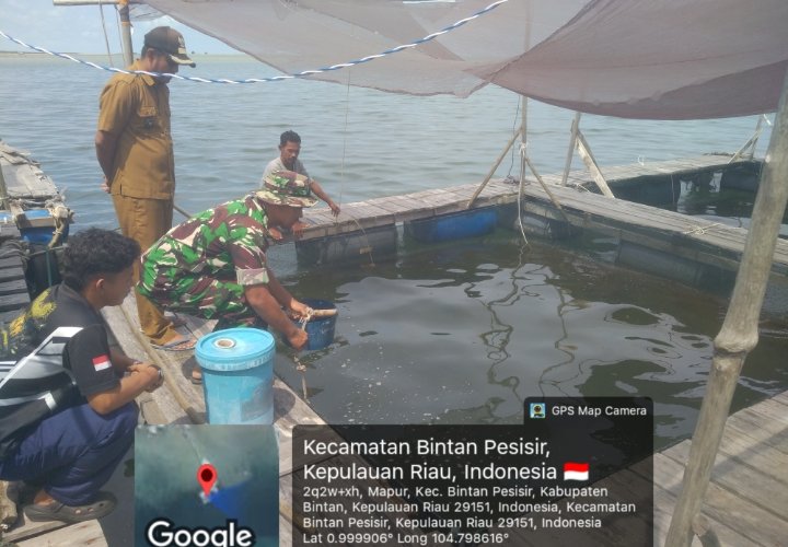 Babinsa Mapur Dorong Warga Kembangkan Keramba Ikan untuk Ketahanan Pangan